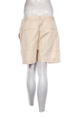 Damen Shorts Scotch & Soda, Größe L, Farbe Ecru, Preis € 32,85