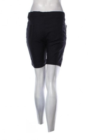 Damen Shorts Unbranded, Größe L, Farbe Blau, Preis € 12,99