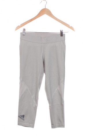 Damen Leggings Adidas, Größe S, Farbe Grau, Preis € 23,99