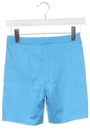 Damen Leggings Calvin Klein Jeans, Größe XS, Farbe Blau, Preis 33,99 €