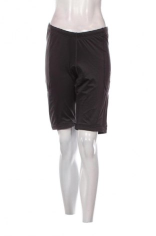 Damen Leggings Crane, Größe L, Farbe Grau, Preis € 7,99