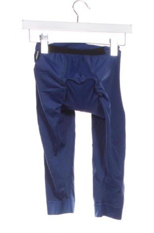 Damen Leggings Maloja, Größe XS, Farbe Blau, Preis 80,99 €