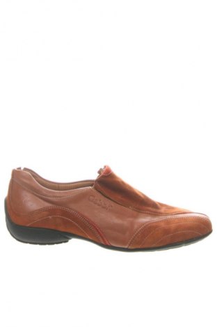 Damenschuhe Gabor, Größe 41, Farbe Braun, Preis € 32,99