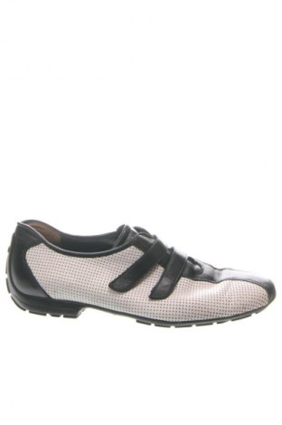 Damenschuhe Paul Green, Größe 39, Farbe Mehrfarbig, Preis € 45,61