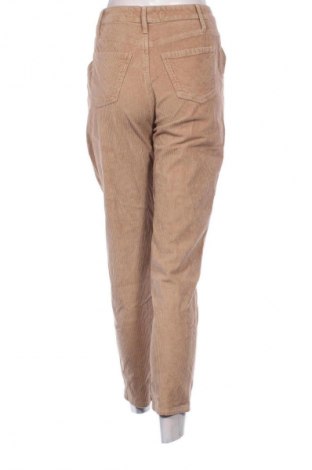 Damenhose Hollister, Größe S, Farbe Beige, Preis 21,00 €