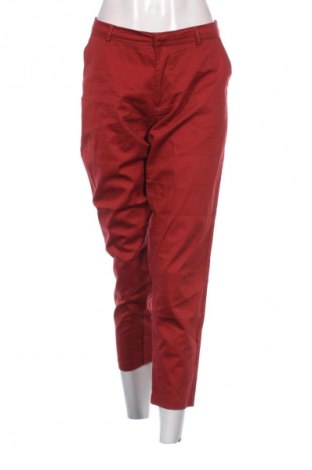 Damenhose In Extenso, Größe XL, Farbe Braun, Preis € 8,99
