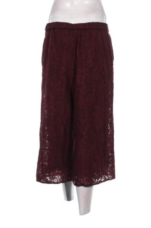Damenhose Zara, Größe M, Farbe Lila, Preis € 7,99