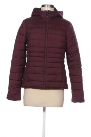 Damenjacke Clockhouse, Größe M, Farbe Rot, Preis € 15,99