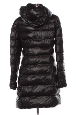 Damenjacke Hallhuber, Größe M, Farbe Schwarz, Preis € 160,84