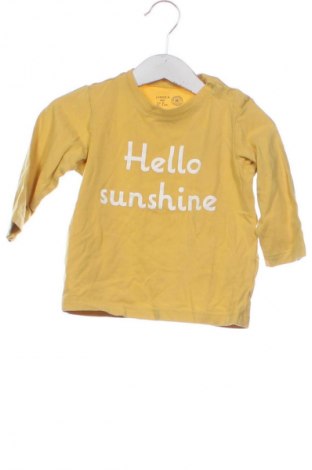 Kinder Shirt Lindex, Größe 9-12m/ 74-80 cm, Farbe Gelb, Preis € 4,99