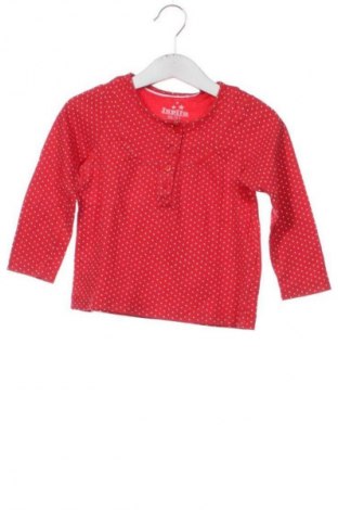 Kinder Shirt Lupilu, Größe 18-24m/ 86-98 cm, Farbe Mehrfarbig, Preis € 6,14
