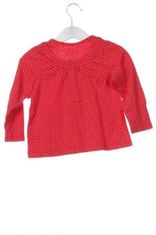 Kinder Shirt Lupilu, Größe 18-24m/ 86-98 cm, Farbe Mehrfarbig, Preis € 6,14