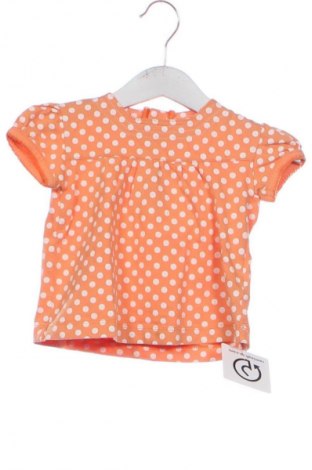 Kinder Shirt Marks & Spencer, Größe 6-9m/ 68-74 cm, Farbe Mehrfarbig, Preis € 6,14