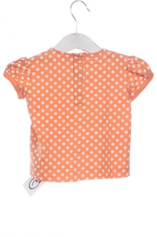 Kinder Shirt Marks & Spencer, Größe 6-9m/ 68-74 cm, Farbe Mehrfarbig, Preis € 6,14
