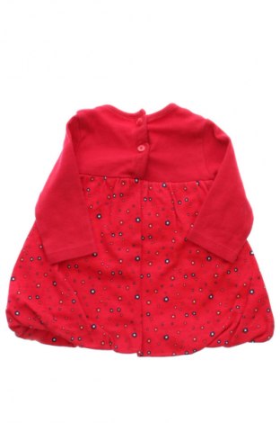 Dziecięca sukienka St. Bernard, Rozmiar 2-3m/ 56-62 cm, Kolor Kolorowy, Cena 62,07 zł