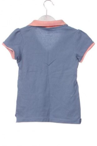 Kinder T-Shirt Lupilu, Größe 4-5y/ 110-116 cm, Farbe Grau, Preis € 6,14