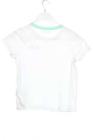 Kinder T-Shirt Review, Größe 9-10y/ 140-146 cm, Farbe Mehrfarbig, Preis € 20,99