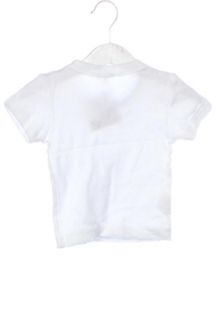 Kinder T-Shirt Unbranded, Größe 12-18m/ 80-86 cm, Farbe Weiß, Preis 3,99 €