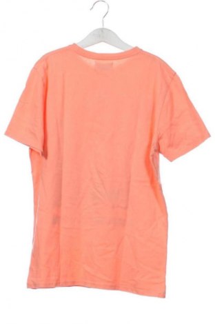Dětské tričko  Zara, Velikost 10-11y/ 146-152 cm, Barva Oranžová, Cena  150,00 Kč