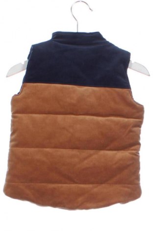 Dětská vesta  Tommy Bahama, Velikost 12-18m/ 80-86 cm, Barva Vícebarevné, Cena  319,00 Kč