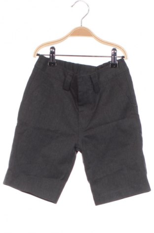 Kinder Shorts Next, Größe 5-6y/ 116-122 cm, Farbe Grau, Preis € 7,99