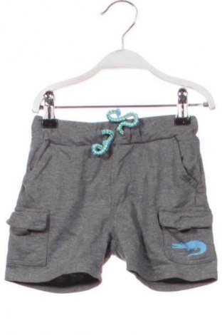 Dziecięce szorty Pocopiano, Rozmiar 2-3y/ 98-104 cm, Kolor Szary, Cena 31,46 zł