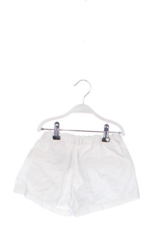 Dětské krátké kalhoty  Sfera, Velikost 9-10y/ 140-146 cm, Barva Bílá, Cena  177,00 Kč
