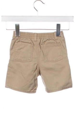 Kinder Shorts Tommy Hilfiger, Größe 2-3m/ 56-62 cm, Farbe Braun, Preis € 17,30