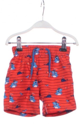 Kinder Shorts Unbranded, Größe 12-18m/ 80-86 cm, Farbe Mehrfarbig, Preis € 6,99
