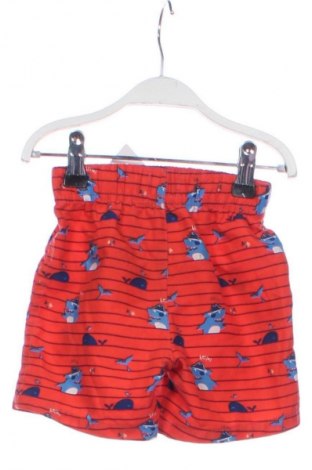 Kinder Shorts Unbranded, Größe 12-18m/ 80-86 cm, Farbe Mehrfarbig, Preis € 6,99