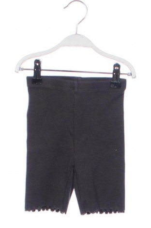 Kinder Shorts Zara, Größe 2-3y/ 98-104 cm, Farbe Grau, Preis € 6,14