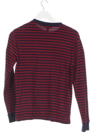 Pulover pentru copii Polo, Mărime 14-15y/ 168-170 cm, Culoare Multicolor, Preț 167,99 Lei