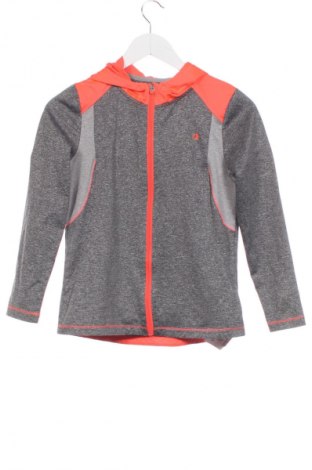 Kinder Sweatshirts Champion, Größe 12-13y/ 158-164 cm, Farbe Mehrfarbig, Preis 15,99 €