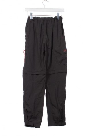 Kinder Sporthose Decathlon, Größe 14-15y/ 168-170 cm, Farbe Grau, Preis € 12,83