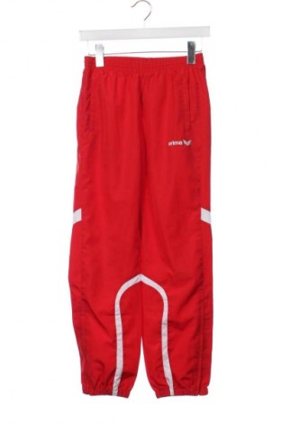 Kinder Sporthose Erima, Größe 10-11y/ 146-152 cm, Farbe Rot, Preis € 9,99