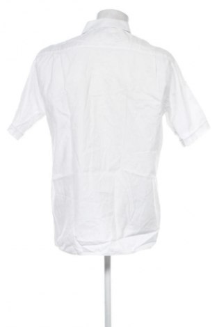 Herrenhemd Eterna, Größe L, Farbe Weiß, Preis 21,99 €