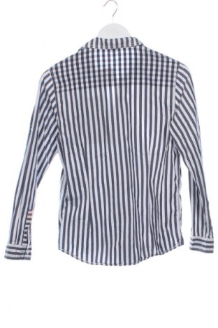Herrenhemd S.Oliver, Größe L, Farbe Mehrfarbig, Preis € 17,36