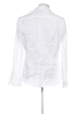 Herrenhemd Tom Tailor, Größe XL, Farbe Weiß, Preis € 23,99