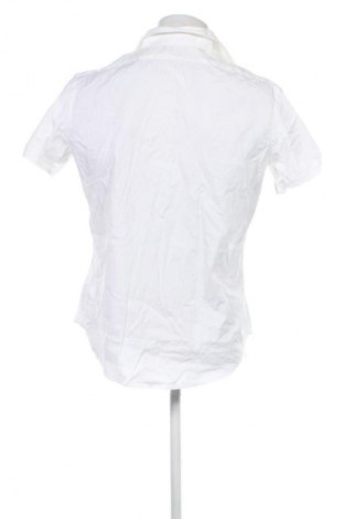 Herrenhemd Zara Man, Größe L, Farbe Weiß, Preis € 12,23