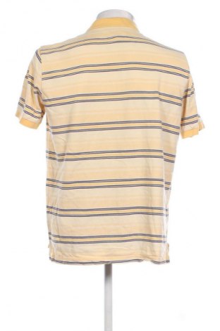 Herren T-Shirt Izod, Größe L, Farbe Mehrfarbig, Preis 13,99 €
