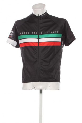 Herren T-Shirt Milremo, Größe L, Farbe Mehrfarbig, Preis € 8,99