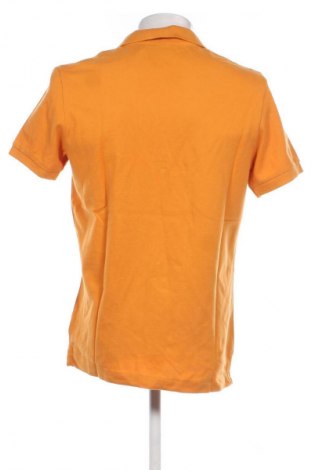 Tricou de bărbați O'neill, Mărime L, Culoare Galben, Preț 63,99 Lei