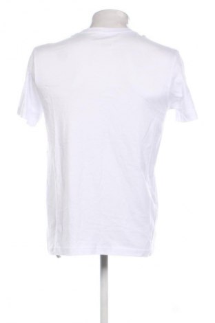 Herren T-Shirt Tom Tailor, Größe S, Farbe Weiß, Preis 23,99 €