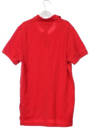 Męski T-shirt Tommy Hilfiger, Rozmiar XS, Kolor Czerwony, Cena 70,80 zł