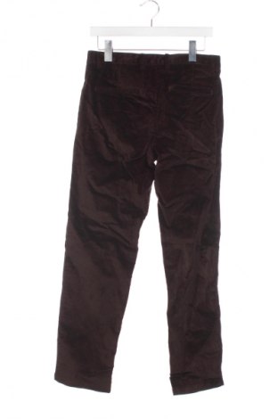 Pantaloni raiați de bărbați Tiger Of Sweden, Mărime M, Culoare Maro, Preț 327,99 Lei