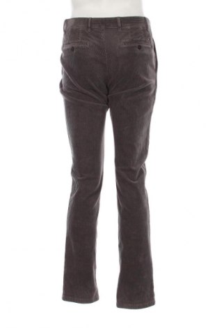 Herren Cordhose Tommy Hilfiger, Größe L, Farbe Grau, Preis € 48,99