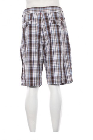 Męskie szorty Canterbury, Rozmiar XL, Kolor Kolorowy, Cena 38,99 zł