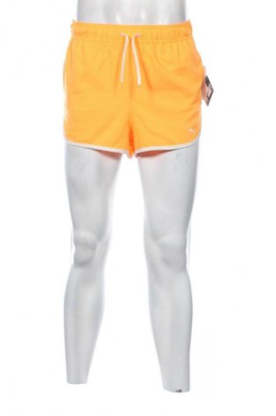 Herren Shorts PUMA, Größe S, Farbe Orange, Preis 53,99 €