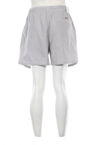 Pánske kraťasy  Tommy Hilfiger, Veľkosť L, Farba Viacfarebná, Cena  37,95 €