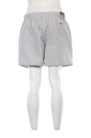 Pánske kraťasy  Tommy Hilfiger, Veľkosť L, Farba Viacfarebná, Cena  37,95 €